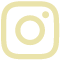 instagram-icon